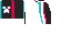 Followers Cape texture
